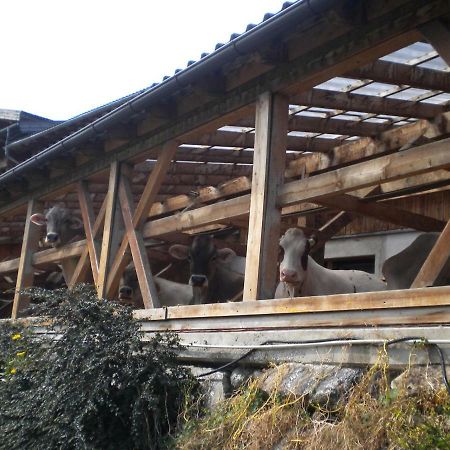 Weberhof Villa Trins Kültér fotó
