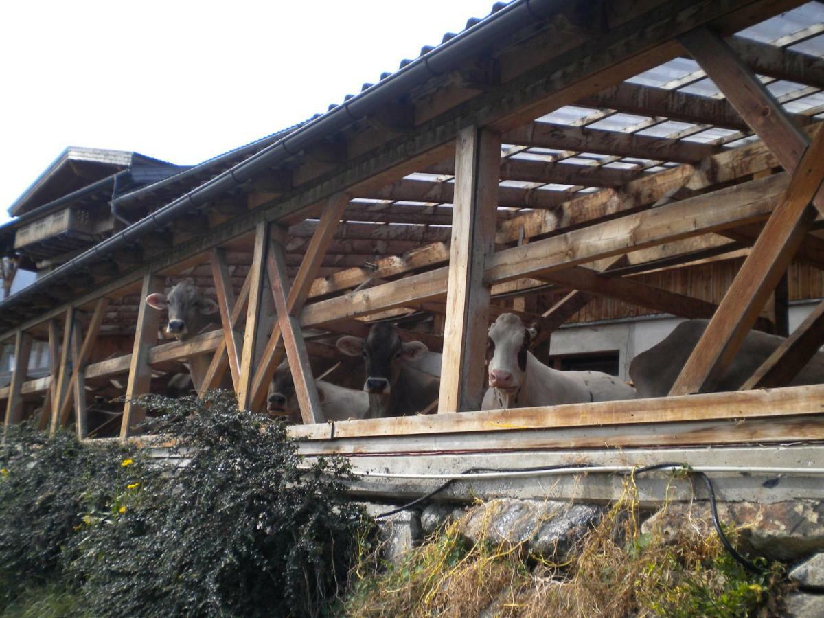 Weberhof Villa Trins Kültér fotó